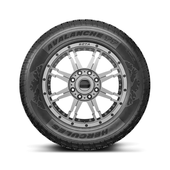 AVALANCHE® TT Premium Passenger | Studdable Winter