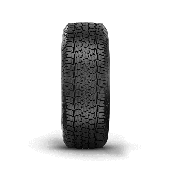 AVALANCHE® TT Premium Passenger | Studdable Winter