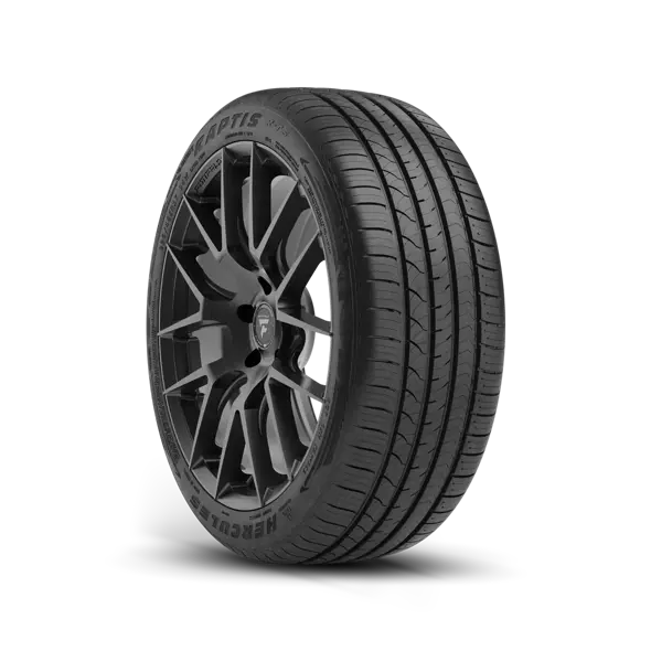 RAPTIS® R-T6 Premium UHP | All-Season
