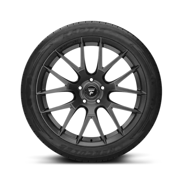 RAPTIS® R-T6 Premium UHP | All-Season