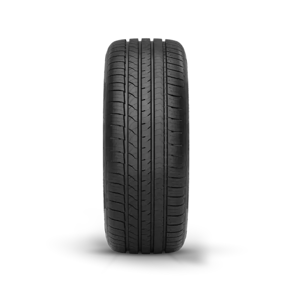RAPTIS® R-T6 Premium UHP | All-Season