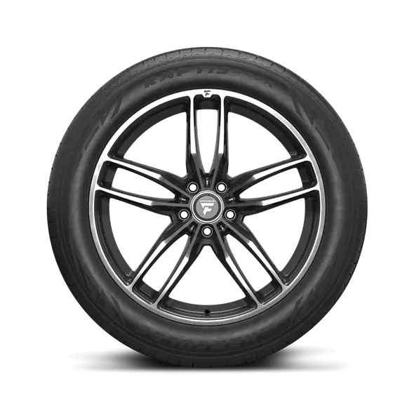 RAPTIS® R-T6X Premium UHP | All-Season