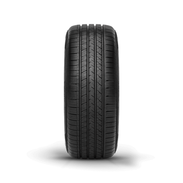 RAPTIS® R-T6X Premium UHP | All-Season